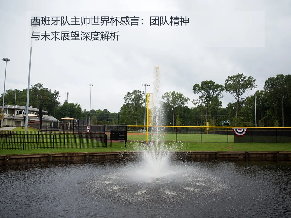 西班牙队主帅世界杯感言：团队精神与未来展望深度解析